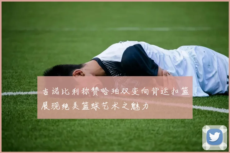 吉诺比利称赞哈珀双变向背运扣篮展现绝美篮球艺术之魅力