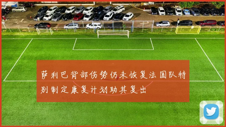 萨利巴背部伤势仍未恢复法国队特别制定康复计划助其复出